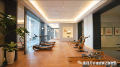 全体呈现海派的贵雅气质