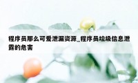 程序员那么可爱泄漏资源_程序员垃圾信息泄露的危害