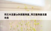 荷兰大流量ip伪装服务器_荷兰服务器流量攻击