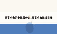 黑客攻击的参数是什么_黑客攻击数据目标