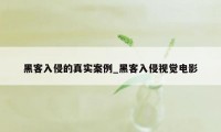 黑客入侵的真实案例_黑客入侵视觉电影