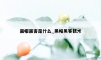 黑帽黑客是什么_黑帽黑客技术