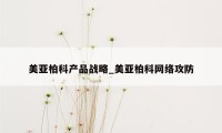 美亚柏科产品战略_美亚柏科网络攻防