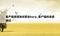 客户端渗透测试抓包burp_客户端的渗透测试