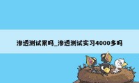 渗透测试累吗_渗透测试实习4000多吗