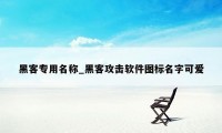 黑客专用名称_黑客攻击软件图标名字可爱