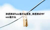 渗透测试fuzz是什么意思_渗透测试中fuzz是什么