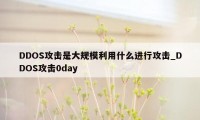 DDOS攻击是大规模利用什么进行攻击_DDOS攻击0day