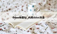 ddos攻击ip_内网ddos攻击