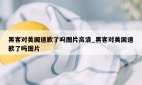 黑客对美国道歉了吗图片高清_黑客对美国道歉了吗图片