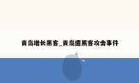 青岛增长黑客_青岛遭黑客攻击事件