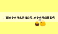 广西南宁有什么网络公司_南宁有网络黑客吗