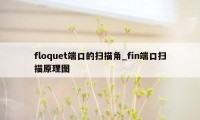 floquet端口的扫描角_fin端口扫描原理图