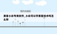 黑客小白专用软件_小白可以学黑客技术吗怎么样