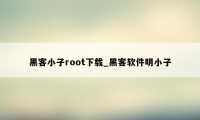 黑客小子root下载_黑客软件明小子