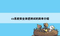 cs系统安全渗透测试的简单介绍