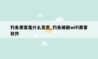 钓鱼黑客是什么意思_钓鱼破解wifi黑客软件