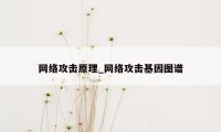 网络攻击原理_网络攻击基因图谱