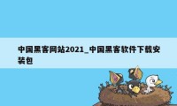 中国黑客网站2021_中国黑客软件下载安装包