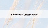 黑客技术原理_黑客技术图解