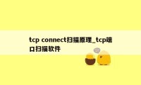 tcp connect扫描原理_tcp端口扫描软件