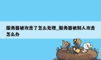 服务器被攻击了怎么处理_服务器被别人攻击怎么办