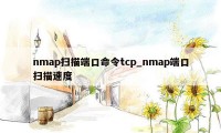 nmap扫描端口命令tcp_nmap端口扫描速度