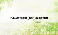 Ddos攻击原理_DDos攻击CSDN