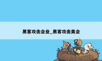 黑客攻击企业_黑客攻击美企