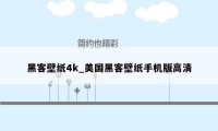 黑客壁纸4k_美国黑客壁纸手机版高清