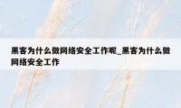 黑客为什么做网络安全工作呢_黑客为什么做网络安全工作