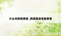 什么叫网络黑客_网络用语电脑黑客