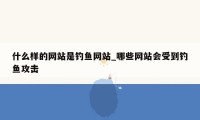 什么样的网站是钓鱼网站_哪些网站会受到钓鱼攻击