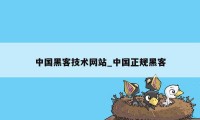 中国黑客技术网站_中国正规黑客