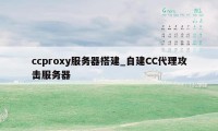 ccproxy服务器搭建_自建CC代理攻击服务器